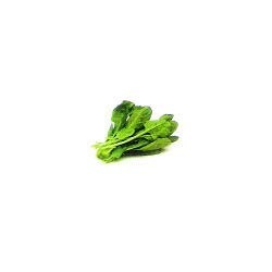 Manufacturers Exporters and Wholesale Suppliers of Fresh Spinach Amritsar Punjab